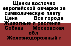 Щенки восточно европейской овчарки за символическую плату › Цена ­ 250 - Все города Животные и растения » Собаки   . Московская обл.,Железнодорожный г.